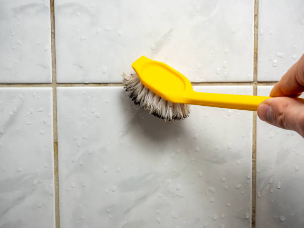 Best Black Mold Removal  in Cassopolis, MI