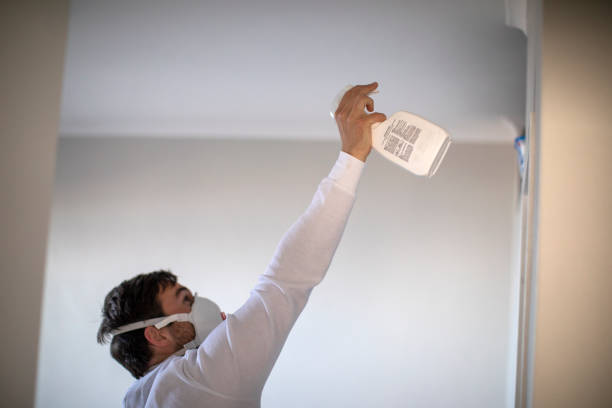 Best Mold Damage Repair  in Cassopolis, MI