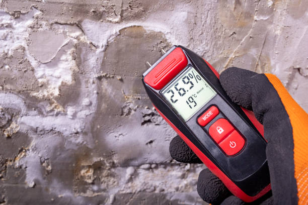 Best Certified Mold Removal  in Cassopolis, MI