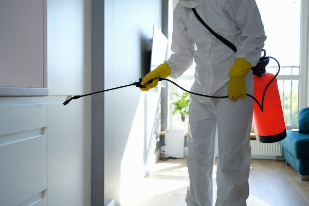 Certified Mold Removal in Cassopolis, MI